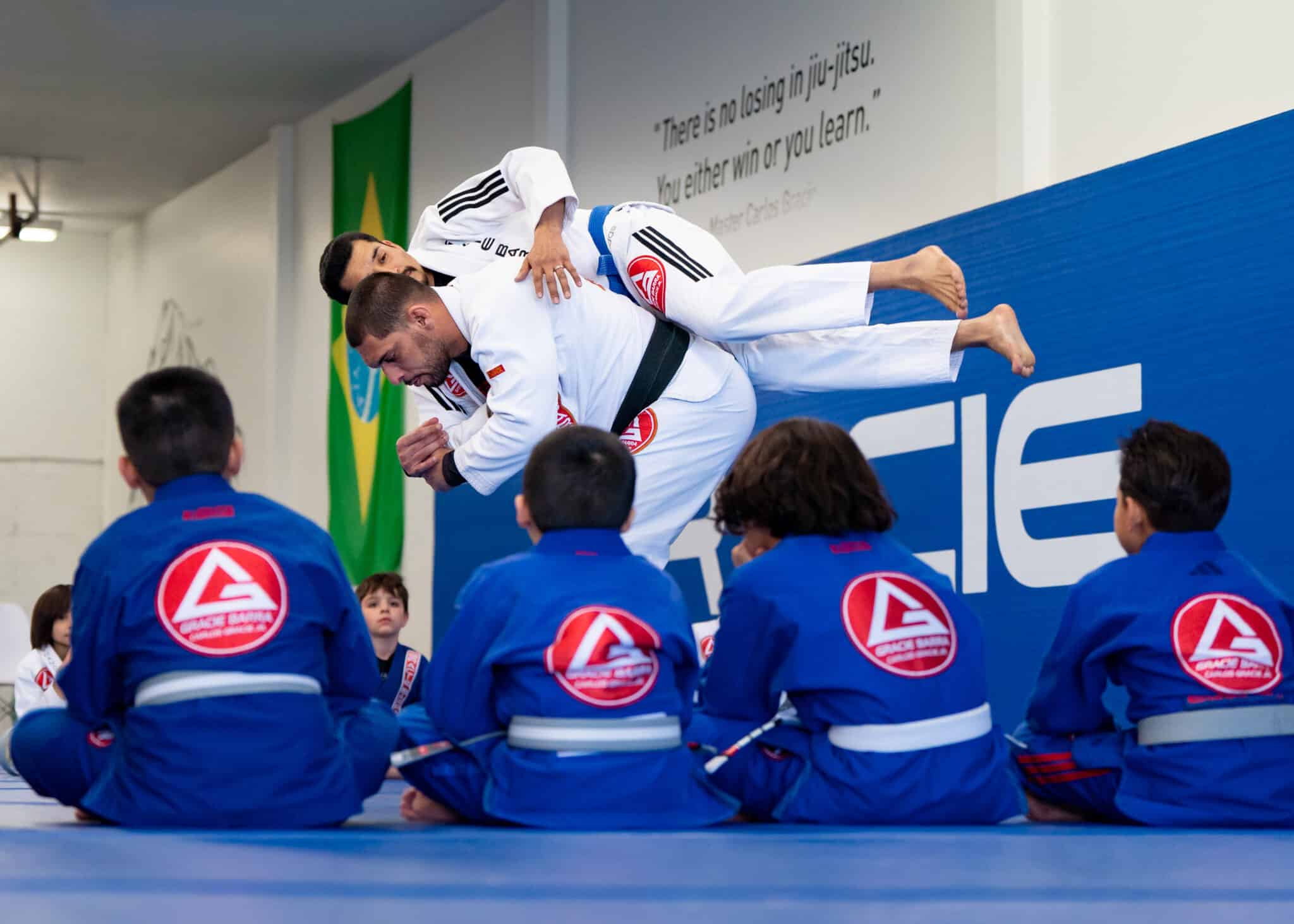 Brazilian Jiu Jitsu vs Other Martial Arts