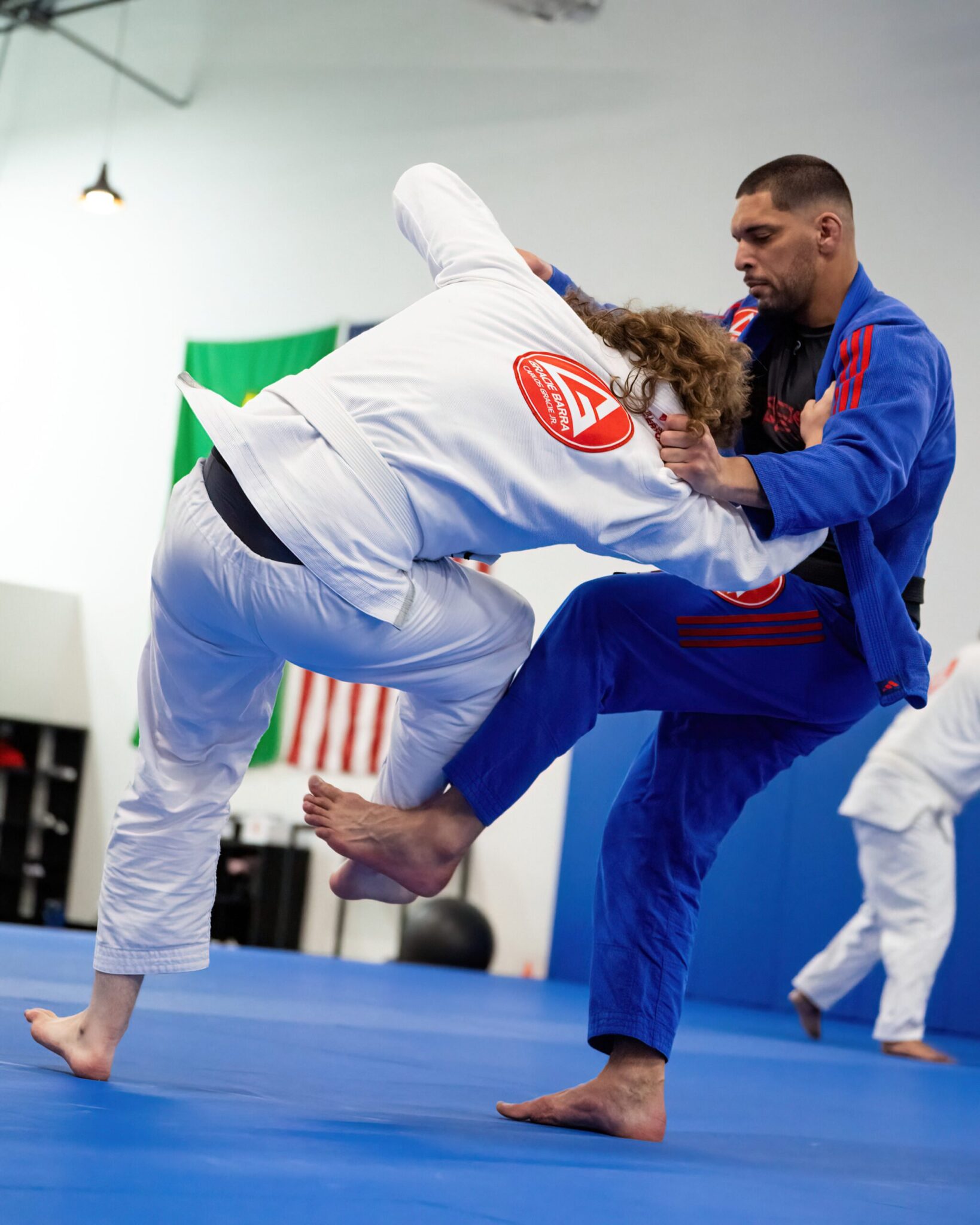 Brazilian Jiu-Jitsu Techniques for Beginners: A Guide to Mastering 