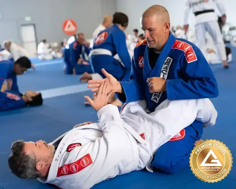 judo-vs-brazilian-jiu-jitsu-understanding-the-key-distinctions