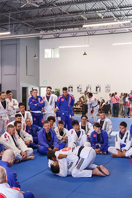 jiu jitsu south salt lake